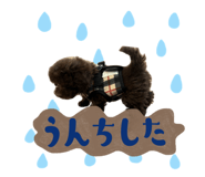 725646567