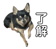 725654043