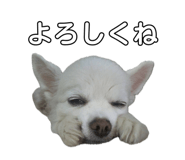 725654047