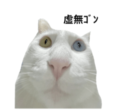 725657337