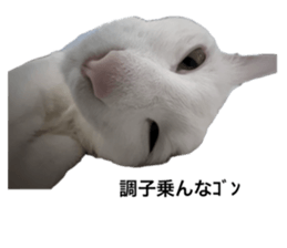 725657346