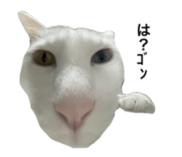 725657351