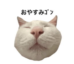 725657365