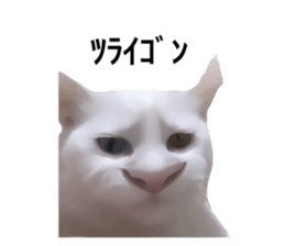 725657371
