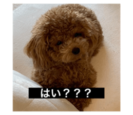 725666446