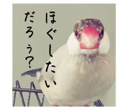 725671608