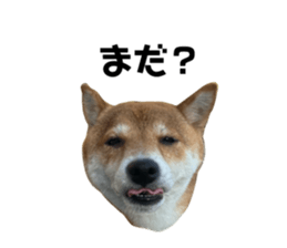 725678291
