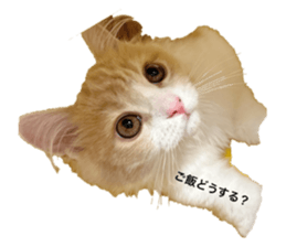 725764837