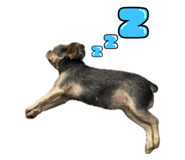 725777861