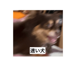 725793600