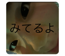 725794302