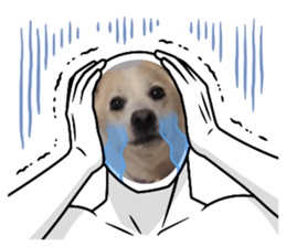 725799662