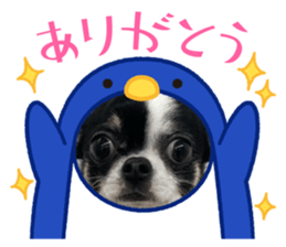 725811512