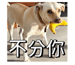 725828785