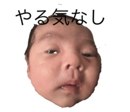 725844320