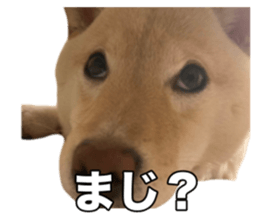 725873936