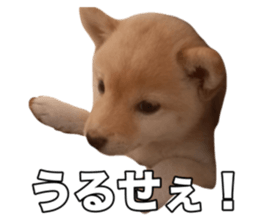 725873938