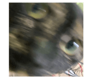 725892735