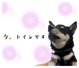 725894849