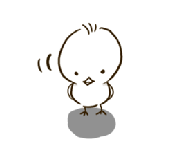 7259020