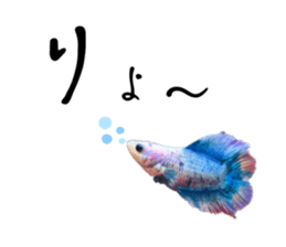 725919317