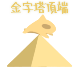 725944008
