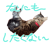 725991151