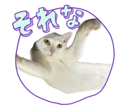 725991155