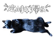 725991161