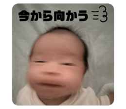 725991312