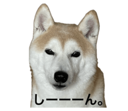 725995620