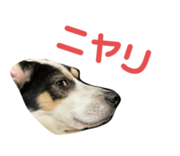 726011196