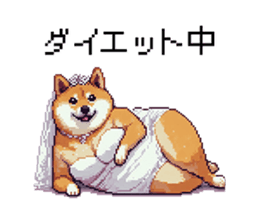 726024083