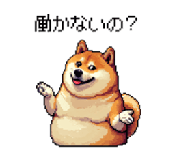 726028946