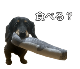 726040125