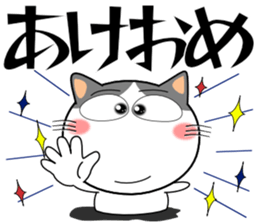 726050070