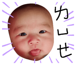 726050403