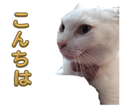 726051154