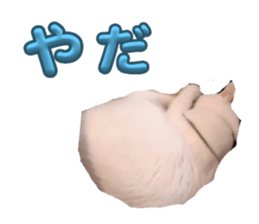 726051158