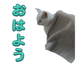 726051160