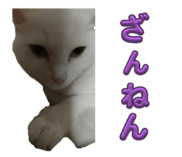 726051183