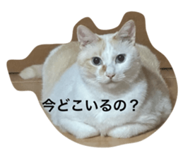 726058610