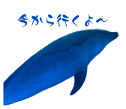 726091584