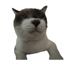 726121917