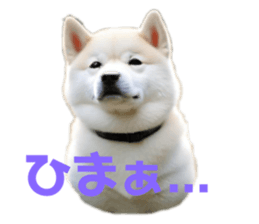 726128957