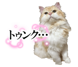 726152070