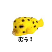 726158975
