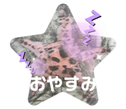 726163206