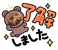 726178975
