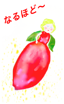 726240489
